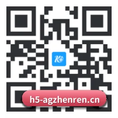 系统版 iOS 二维码